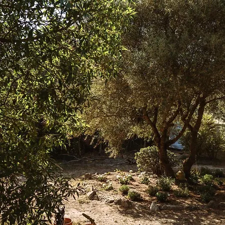 La Veleta Campo de lujo Cádiz