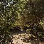 La Veleta Luxury tent Cadiz