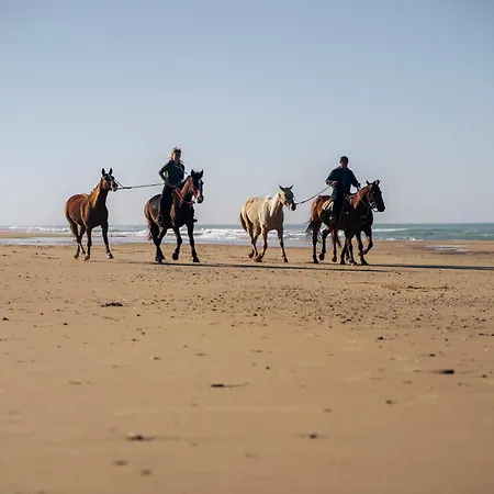 Lüks kamp alanı La Veleta Cadiz